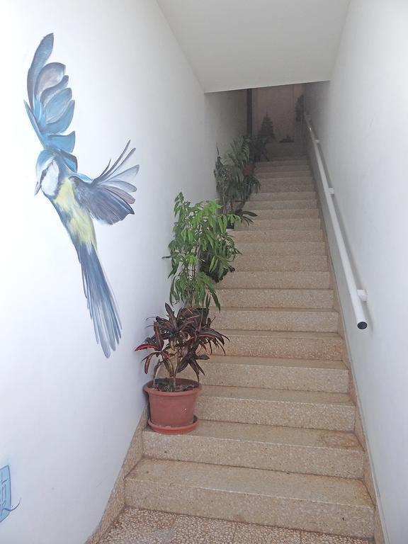 Apartamentos Dominguez Calera Dış mekan fotoğraf